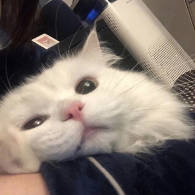 厂商称被冒名代工名创优品围巾？名创优品暂无回应